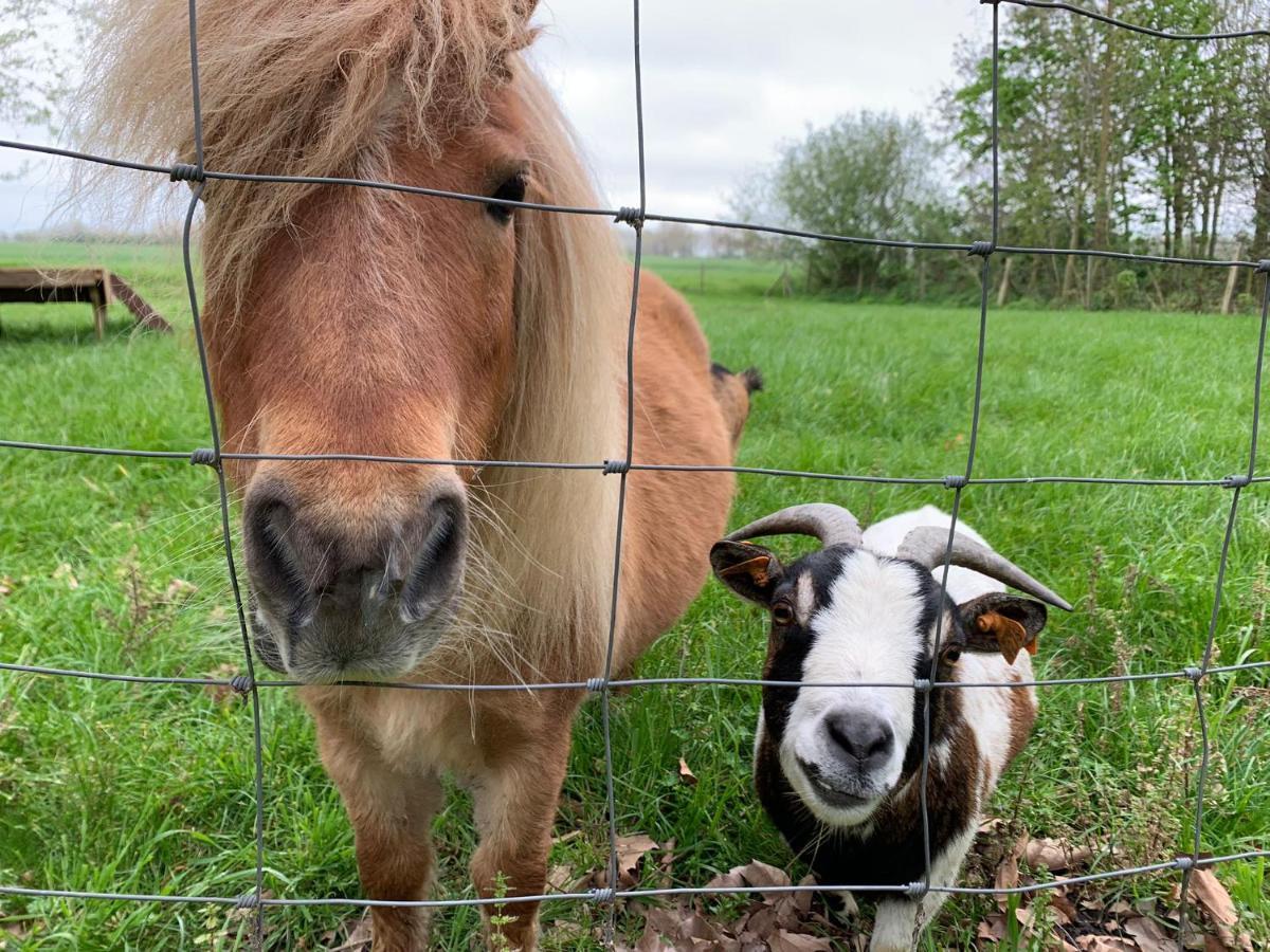 De Scheure, Charmant Vakantiehuisje Midden In De Natuur Alveringem Buitenkant foto
