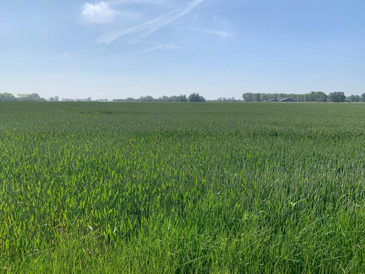 De Scheure, Charmant Vakantiehuisje Midden In De Natuur Alveringem Buitenkant foto